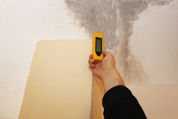 Best Dehumidification Services  in Nicollet, MN