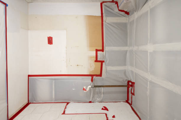 Best Forensic Mold Investigation  in Nicollet, MN