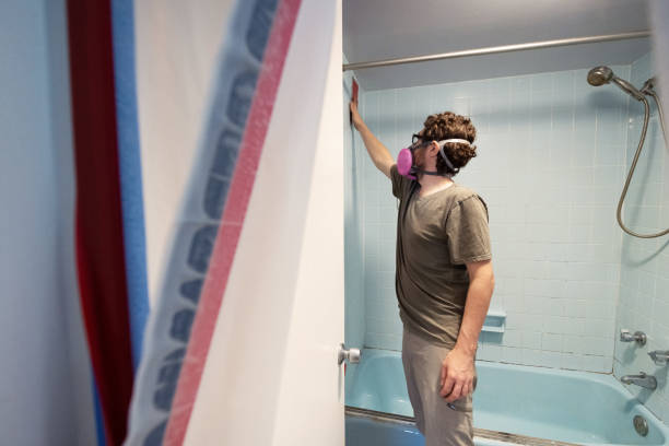 Mold Documentation for Insurance Claims in Nicollet, MN
