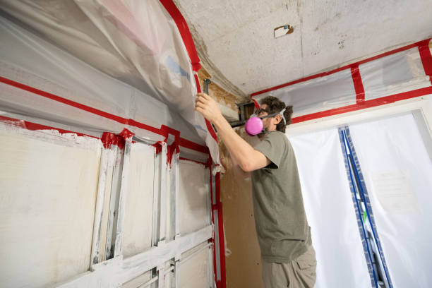 Professional Mold Removal in Nicollet, MN