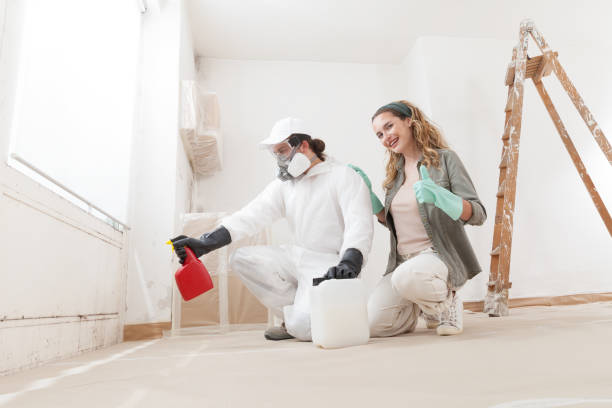 Best Mold Odor Removal Services  in Nicollet, MN