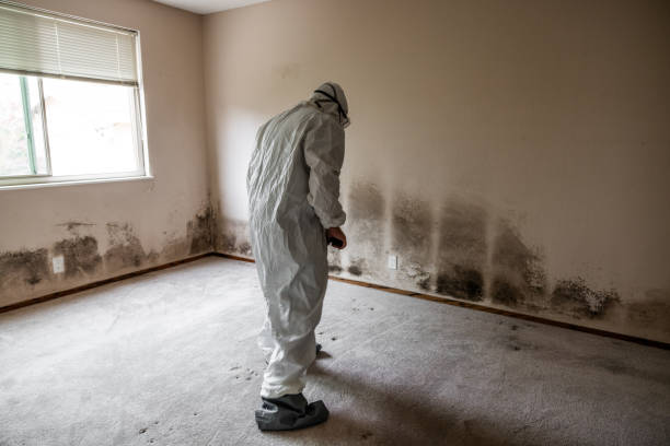 Best Residential Mold Inspection & Testing  in Nicollet, MN